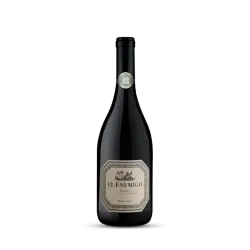 El Enemigo Malbec 2021 El Enemigo Malbec 2021